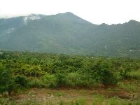 1103_042.JPG (88586 bytes)