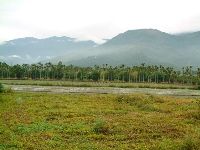 1103_043.JPG (115451 bytes)