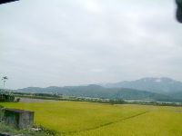 1103_045.JPG (55129 bytes)