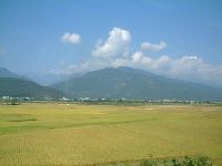 1110_001.JPG (63403 bytes)