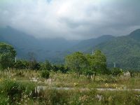 1110_002.JPG (88357 bytes)