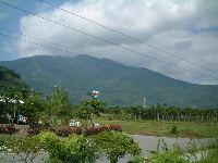 1110_003.JPG (106581 bytes)