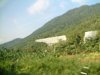 1110_037.JPG (106486 bytes)