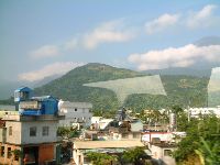 1110_038.JPG (95943 bytes)