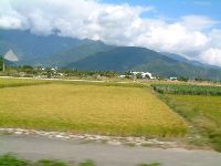 1117_005.JPG (81565 bytes)