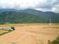 1117_008.JPG (88537 bytes)