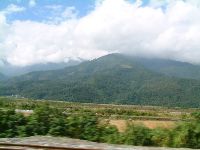 1117_009.JPG (84485 bytes)