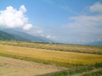 1117_010.JPG (67475 bytes)