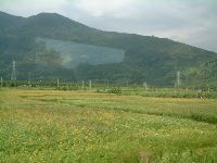 1117_015.JPG (103773 bytes)