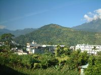 1117_051.JPG (118159 bytes)