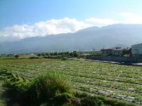 1117_053.JPG (100815 bytes)