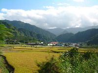 1117_056.JPG (95862 bytes)