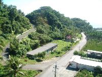 1117_058.JPG (144541 bytes)