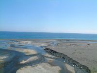 1117_059.JPG (67335 bytes)