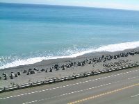 1117_061.JPG (86143 bytes)