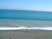 1117_062.JPG (66928 bytes)