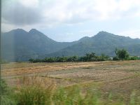 1124_001.JPG (78802 bytes)