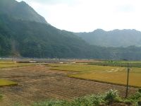 1124_002.JPG (78409 bytes)