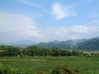 1124_004.JPG (71564 bytes)