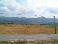 1124_005.JPG (73457 bytes)