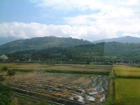 1124_006.JPG (80252 bytes)