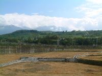 1124_007.JPG (80456 bytes)