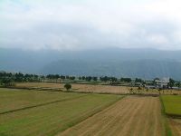 1124_009.JPG (63312 bytes)