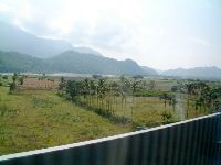 1124_041.JPG (79363 bytes)