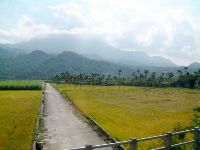 1124_043.JPG (80654 bytes)