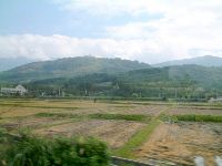 1124_045.JPG (82763 bytes)