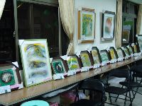 1224_037.JPG (110340 bytes)