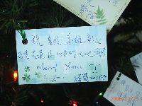 1224_114.JPG (94197 bytes)