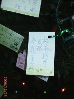 1224_116.JPG (46284 bytes)