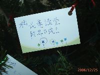 1224_117.JPG (79992 bytes)