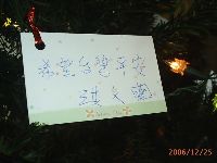 1224_123.JPG (74665 bytes)