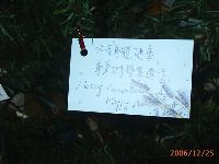 1224_124.JPG (80119 bytes)