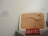 0102_045.JPG (49948 bytes)