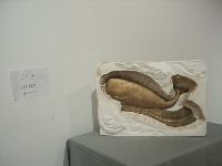 0102_049.JPG (48301 bytes)