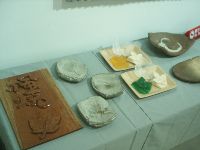 0102_062.JPG (67641 bytes)