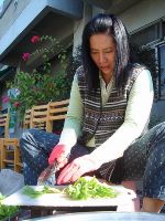 0120_017.JPG (79877 bytes)