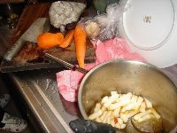 0120_018.JPG (107708 bytes)