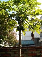 0120_034.JPG (107835 bytes)