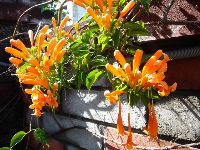 0120_036.JPG (166692 bytes)