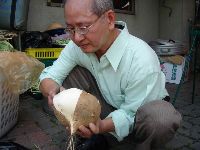 0218_027.JPG (101377 bytes)