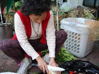 0218_028.JPG (132212 bytes)