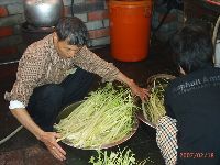 0218_050.JPG (124501 bytes)