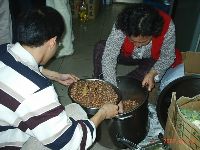 0218_087.JPG (116644 bytes)