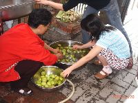 0220_051.JPG (130177 bytes)