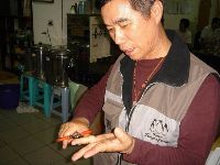 0221_103.JPG (100863 bytes)