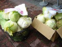 0222_127.JPG (127944 bytes)